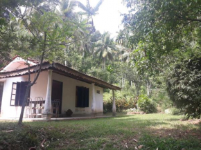 Cinnamon Garden